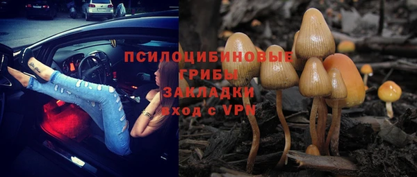 бошки Волосово