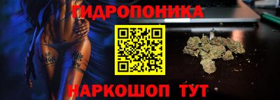 спайс Кимры