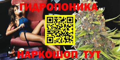 apvp Кинель