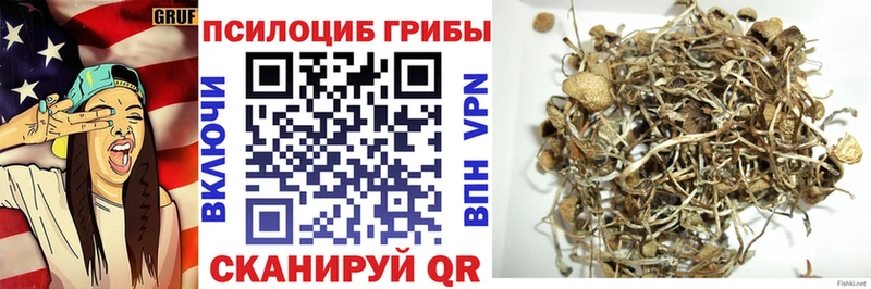 Псилоцибиновые грибы Cubensis  Славянск-на-Кубани 